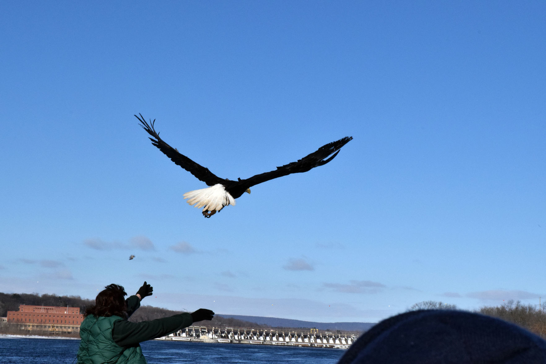 012019-sauk-gallery-eagle016